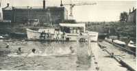 oz363334.jpg