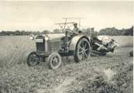 oz363342.jpg
