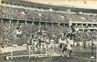 oz363349.jpg