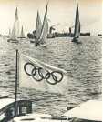 oz363352.jpg