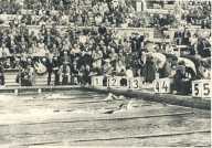 oz363354.jpg