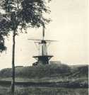 oz363370.jpg