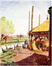 oz363380.jpg