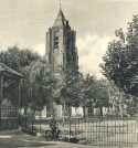 oz363414.jpg