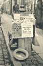oz363423.jpg