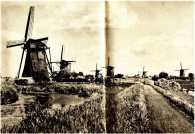 oz363452.jpg