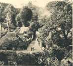 oz363454.jpg