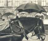 oz363513.jpg