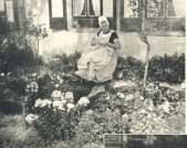 oz363517.jpg