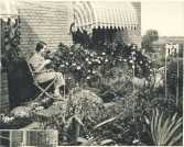 oz363518.jpg