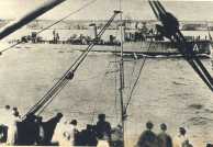 oz363544.jpg