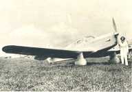 oz363556.jpg