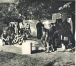 oz363580.jpg
