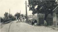 oz363616.jpg