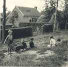 oz363617.jpg