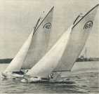 oz363649.jpg