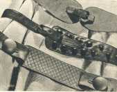 oz363686.jpg