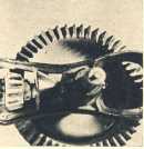 oz363764.jpg