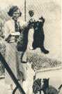 oz363785.jpg