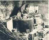 oz363812.jpg