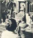 oz363813.jpg