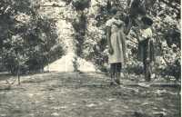 oz363845.jpg
