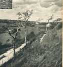 oz363847.jpg