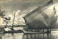oz363902.jpg