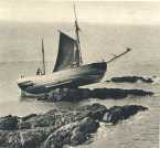 oz363934.jpg