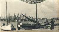 oz363943.jpg