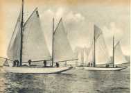 oz363944.jpg