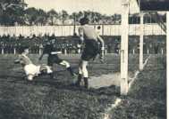 oz363954.jpg