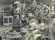 oz363984.jpg