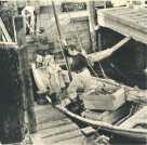 oz3640108.jpg
