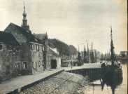 oz364036.jpg