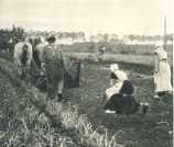 oz364042.jpg