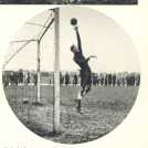 oz364072.jpg