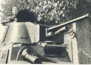 oz364088.jpg