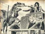 oz364097.jpg