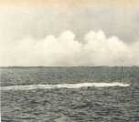 oz364106.jpg