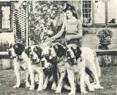oz364130.jpg