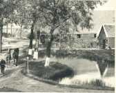 oz364143.jpg