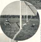 oz364154.jpg