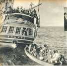 oz364183.jpg