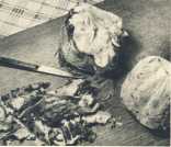 oz364187.jpg
