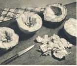 oz364188.jpg
