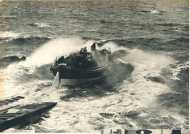 oz364227.jpg