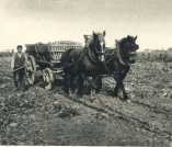 oz364242.jpg