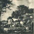 oz364257.jpg