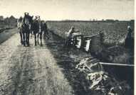 oz364267.jpg